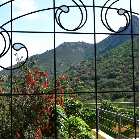 Cas'Anna Lidia - Hotel De Charme Feliceto ภายนอก รูปภาพ